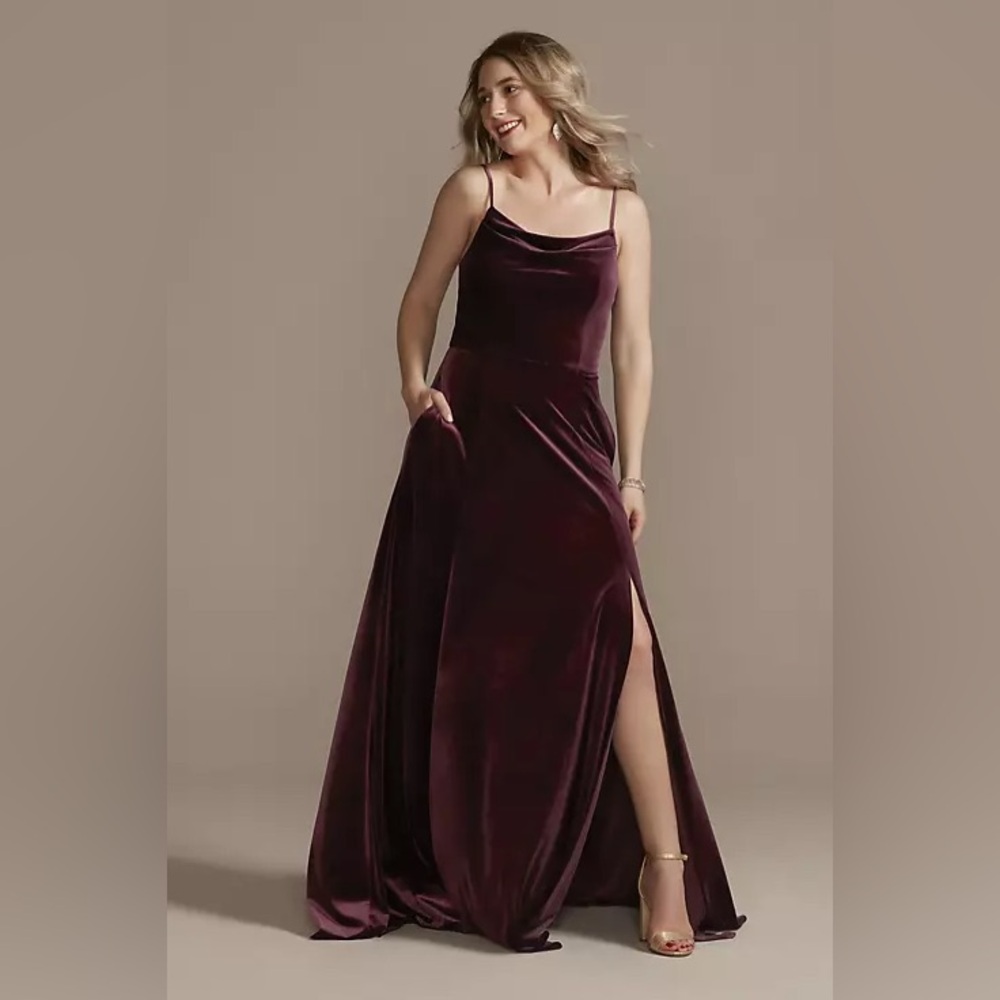 David’s Bridal Velvet Dress in Wine 🍷